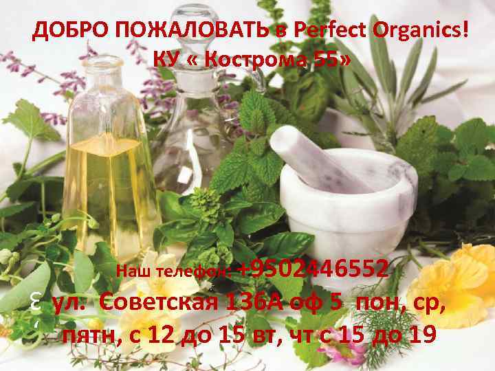 ДОБРО ПОЖАЛОВАТЬ в Perfect Organics! КУ « Кострома 55» Наш телефон: +9502446552 ул. Советская