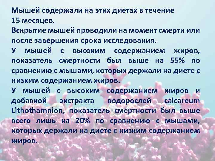 Мышей содержали на этих диетах в течение 15 месяцев. Вскрытие мышей проводили на момент