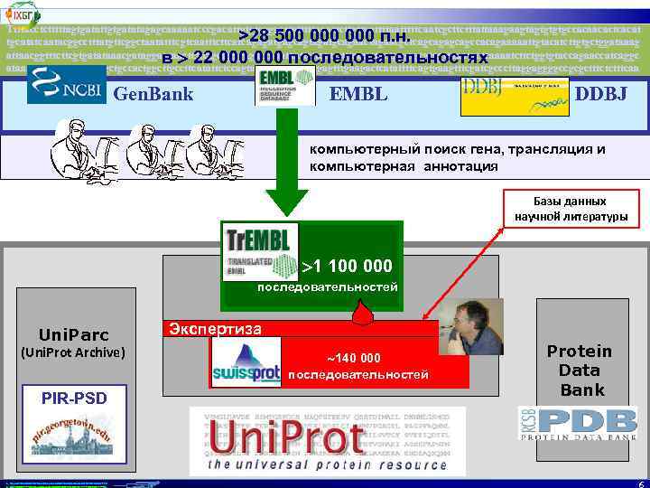 Ttttacctctttttagtgatattgtgatatagagcaaaaatcccgacattgtgtcgggattgtttttaaactcttgttgattttaatttttcaatcgcttctttattaaagaagtagtgtgtgccacaacactcacat tgcatatcaatacggcctttatgttcggctaatatttcgtcaatttcttcatcagagatgagcagtagatgcagaactagaacgctcagcagccacagaaaaattgtacatcttgtgctggataaag attaacggtttcttcgtgatataaacgataggagtaactcttctgcagggagaccaaataattcttcatcttttactgttgctgcgagcgtagttaaatgctcaaaatcttctggtgtaccagaaccatcaggc ataatttgtaataacatacctgctgccactggcttgccttcatattctccagtacgaataattgagtttgaagactcatattttcagtgaagtttcgatcgcccttaggaggggccgcgctttctctttcaa >28 500 000 п. н. в 22 000 последовательностях Gen.