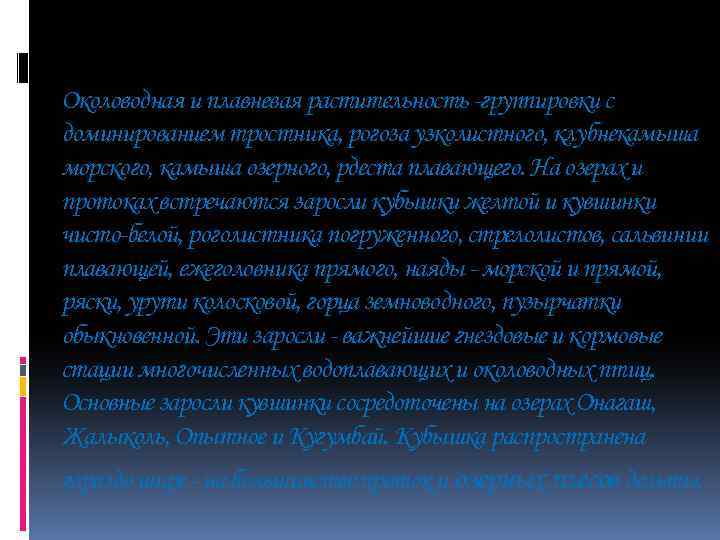 Околоводная и плавневая растительность -группировки с доминированием тростника, рогоза узколистного, клубнекамыша морского, камыша озерного,