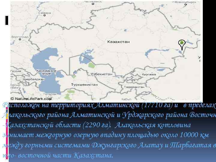 Где находится заповедник Алакольский. Алакольский заповедник инфографика. РК, область Жетысу, Алакольский район - село Акши. Виктор Кинтоп Казахстан Алакольский район.