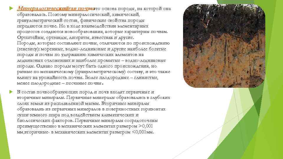  Минералогический почвы основа породы, на которой она состав – это образовалась. Поэтому минералогический,