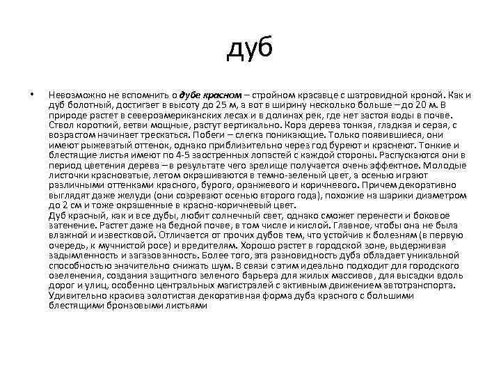 дуб • Невозможно не вспомнить о дубе красном – стройном красавце с шатровидной кроной.
