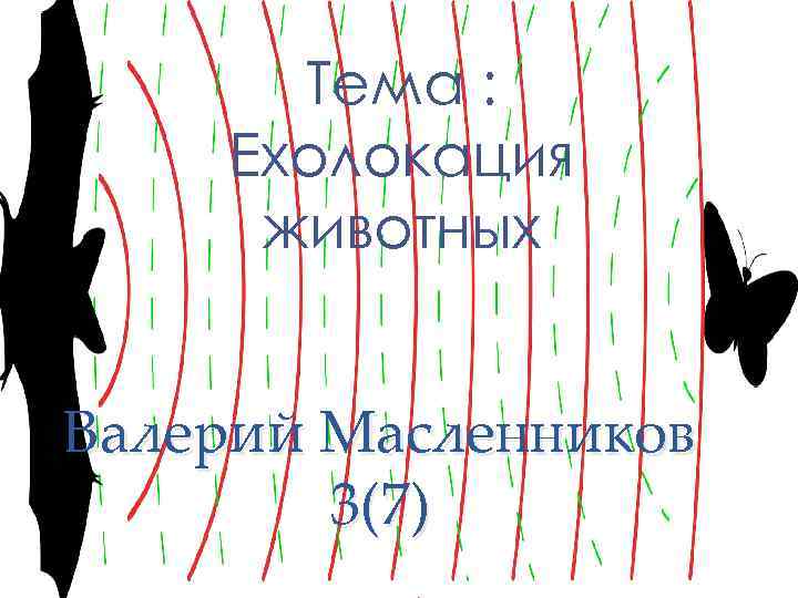Тема : Ехолокация животных Валерий Масленников 3(7) 