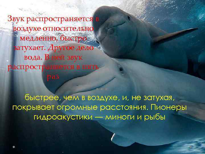 Звук распространяется в воздухе относительно медленно, быстро затухает. Другое дело вода. В ней звук