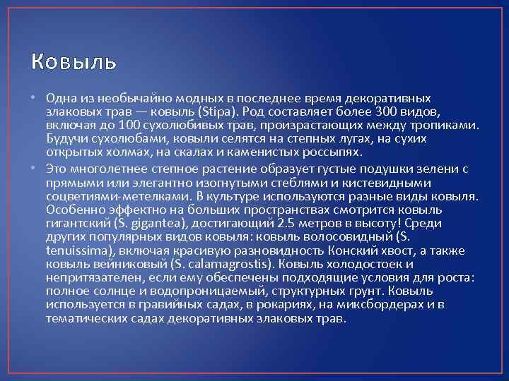 Ковыль • Одна из необычайно модных в последнее время декоративных злаковых трав — ковыль