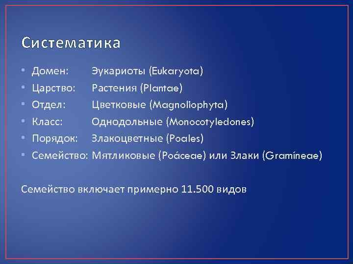 Систематика • • • Домен: Эукариоты (Eukaryota) Царство: Растения (Plantae) Отдел: Цветковые (Magnoliophyta) Класс: