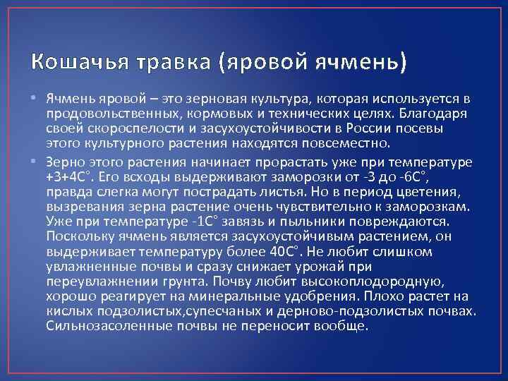 Кошачья травка (яровой ячмень) • Ячмень яровой – это зерновая культура, которая используется в