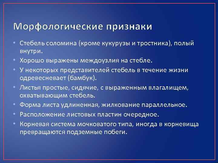 Морфологические признаки • Стебель соломина (кроме кукурузы и тростника), полый внутри. • Хорошо выражены