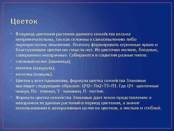 Цветок • В период цветения растения данного семейства весьма непримечательны, так как склонны к