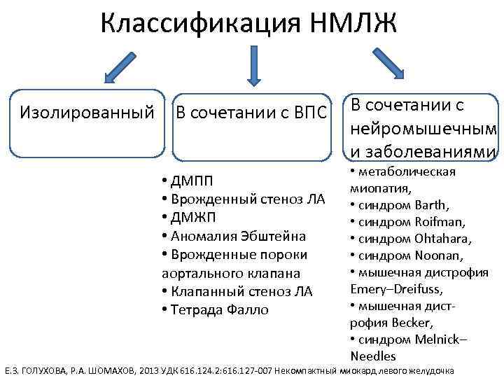 Классификация НМЛЖ Изолированный В сочетании с ВПС • ДМПП • Врожденный стеноз ЛА •