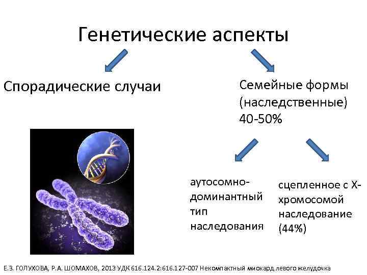 Генетические аспекты Спорадические случаи Семейные формы (наследственные) 40 -50% аутосомнодоминантный тип наследования сцепленное с