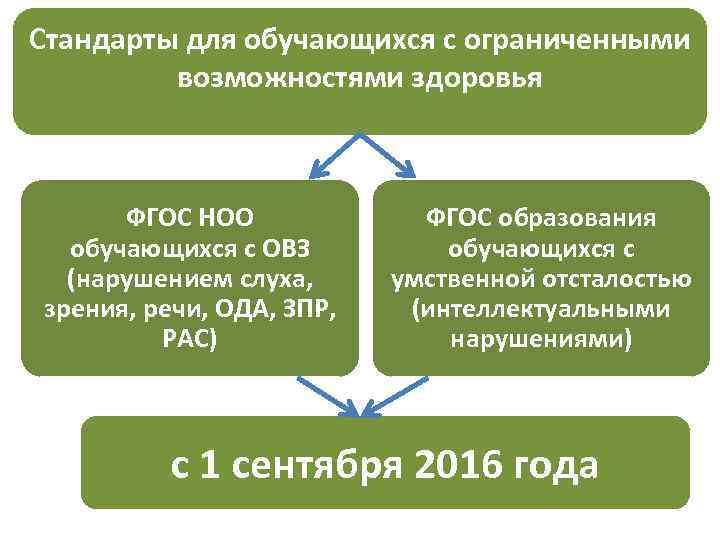 Фгос ноо обучающихся с ограниченными возможностями здоровья