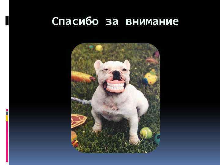 Спасибо за внимание 