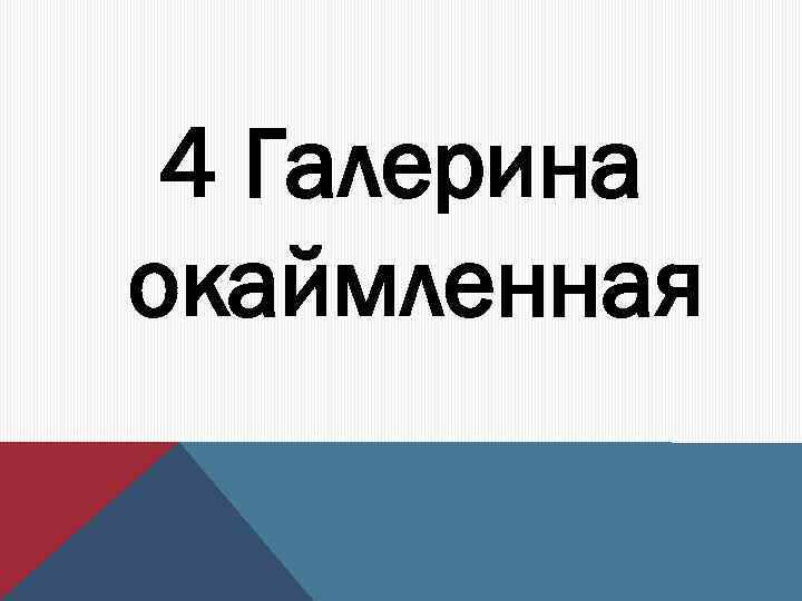 4 Галерина окаймленная 