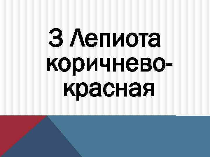 3 Лепиота коричневокрасная 