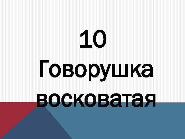 10 Говорушка восковатая 