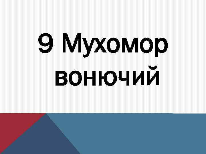 9 Мухомор вонючий 