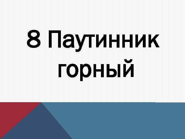 8 Паутинник горный 