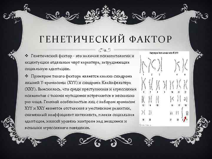 ГЕНЕТИЧЕСКИЙ ФАКТОР v Генетический фактор - это наличие психопатологии и акцентуации отдельных черт характера,