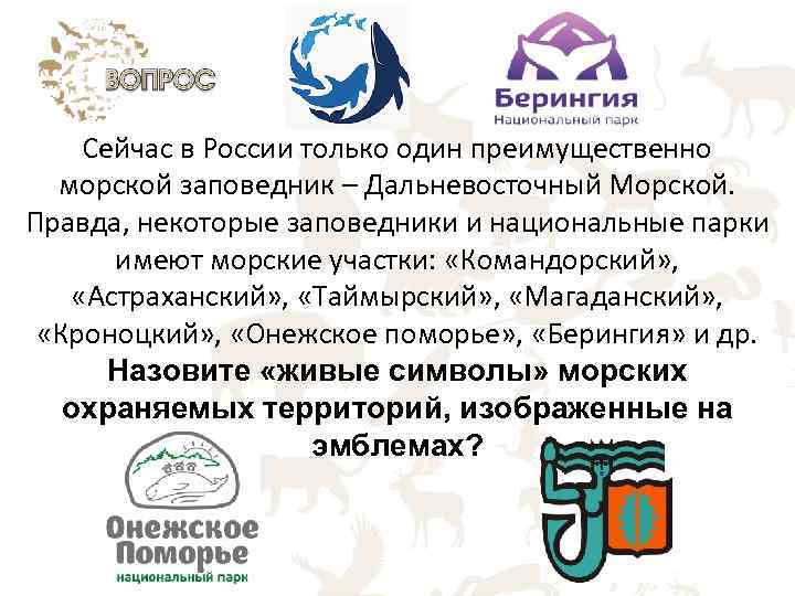 Сейчас в России только один преимущественно морской заповедник – Дальневосточный Морской. Правда, некоторые заповедники