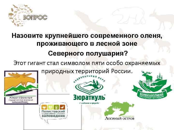 Назовите крупнейшего современного оленя, проживающего в лесной зоне Северного полушария? Этот гигант стал символом
