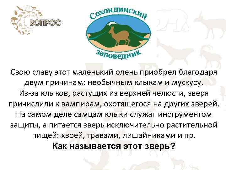 Свою славу этот маленький олень приобрел благодаря двум причинам: необычным клыкам и мускусу. Из