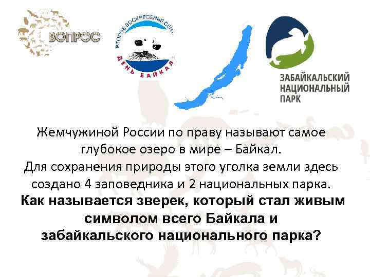 Жемчужиной России по праву называют самое глубокое озеро в мире – Байкал. Для сохранения