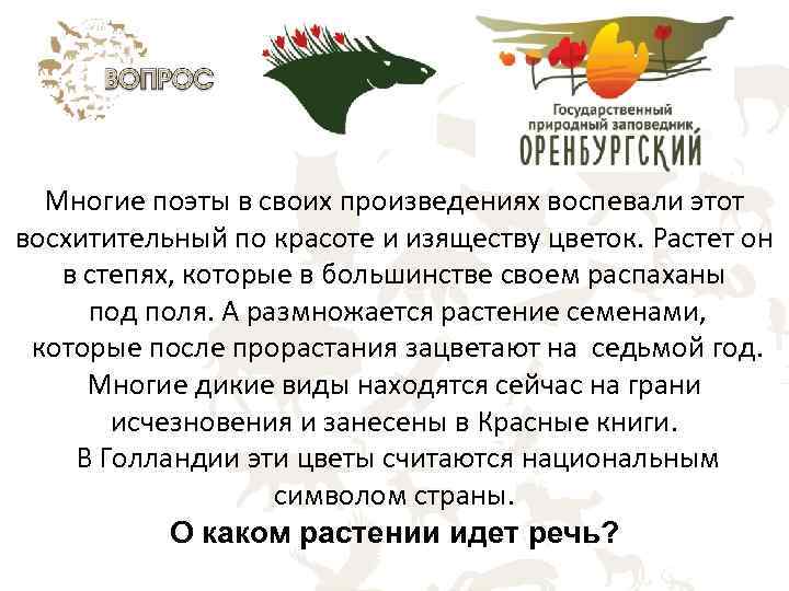 Многие поэты в своих произведениях воспевали этот восхитительный по красоте и изяществу цветок. Растет