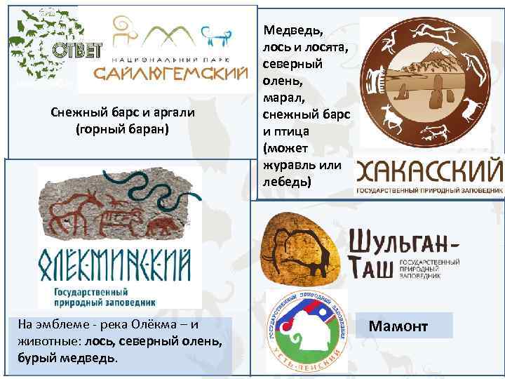 Медведь, лось и лосята, северный место обитания – снежного барса и аргали олень, марал,