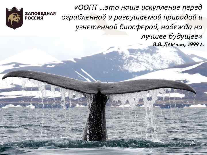 «ООПТ …это наше искупление перед ограбленной и разрушаемой природой и угнетенной биосферой, надежда