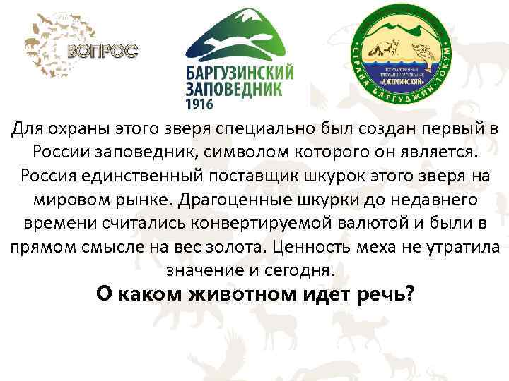 Для охраны этого зверя специально был создан первый в России заповедник, символом которого он