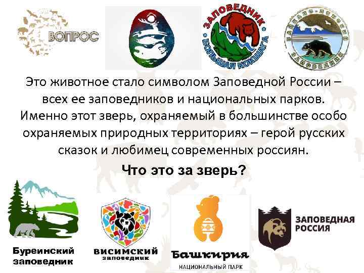 Это животное стало символом Заповедной России – всех ее заповедников и национальных парков. Именно