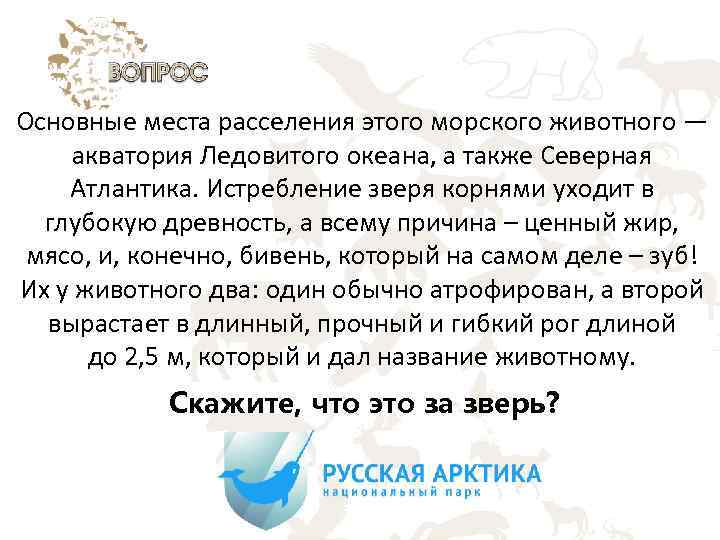 Основные места расселения этого морского животного — акватория Ледовитого океана, а также Северная Атлантика.