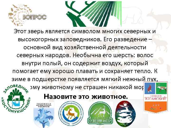 Этот зверь является символом многих северных и высокогорных заповедников. Его разведение – основной вид