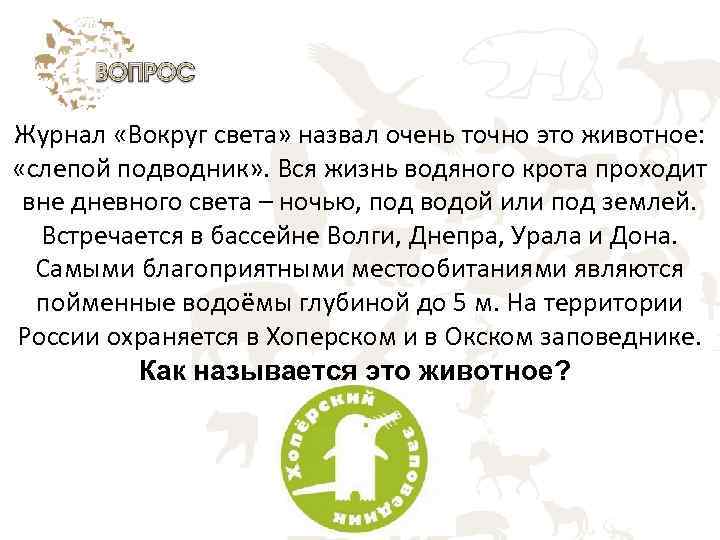 Журнал «Вокруг света» назвал очень точно это животное: «слепой подводник» . Вся жизнь водяного