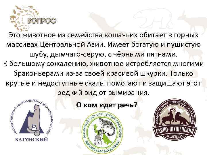 Это животное из семейства кошачьих обитает в горных массивах Центральной Азии. Имеет богатую и