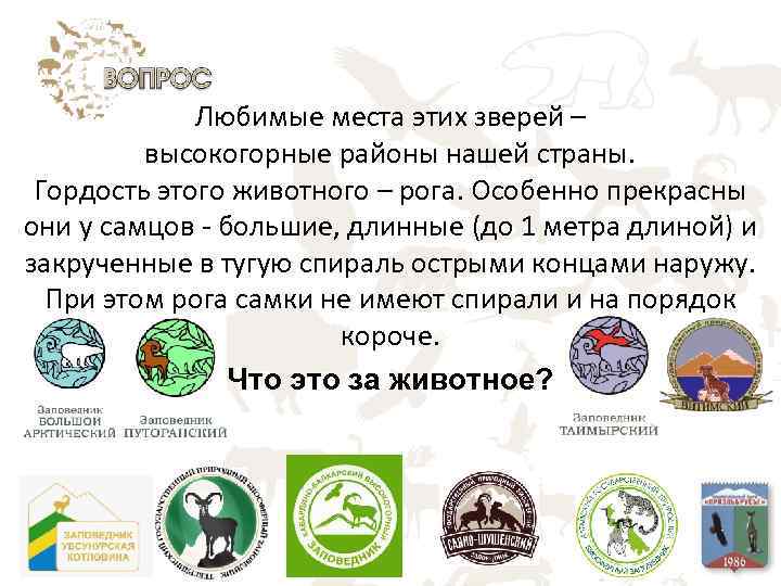 Любимые места этих зверей – высокогорные районы нашей страны. Гордость этого животного – рога.