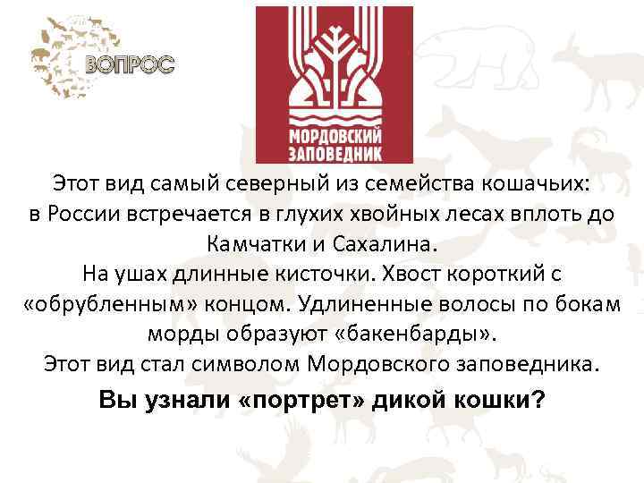 Этот вид самый северный из семейства кошачьих: в России встречается в глухих хвойных лесах