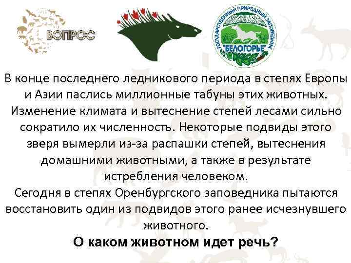В конце последнего ледникового периода в степях Европы и Азии паслись миллионные табуны этих