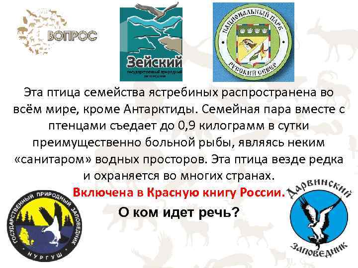 Эта птица семейства ястребиных распространена во всём мире, кроме Антарктиды. Семейная пара вместе с