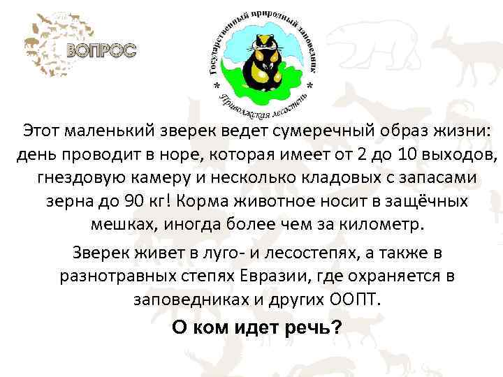 Этот маленький зверек ведет сумеречный образ жизни: день проводит в норе, которая имеет от