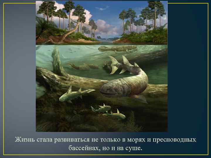 Жизнь стала развиваться не только в морях и пресноводных бассейнах, но и на суше.