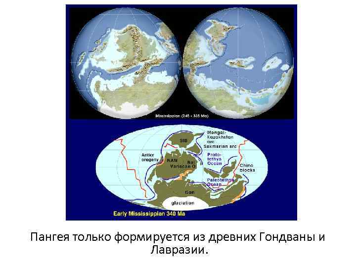 Пангея только формируется из древних Гондваны и Лавразии. 