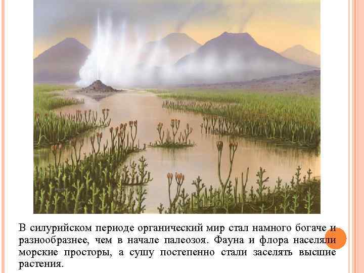 В силурийском периоде органический мир стал намного богаче и разнообразнее, чем в начале палеозоя.