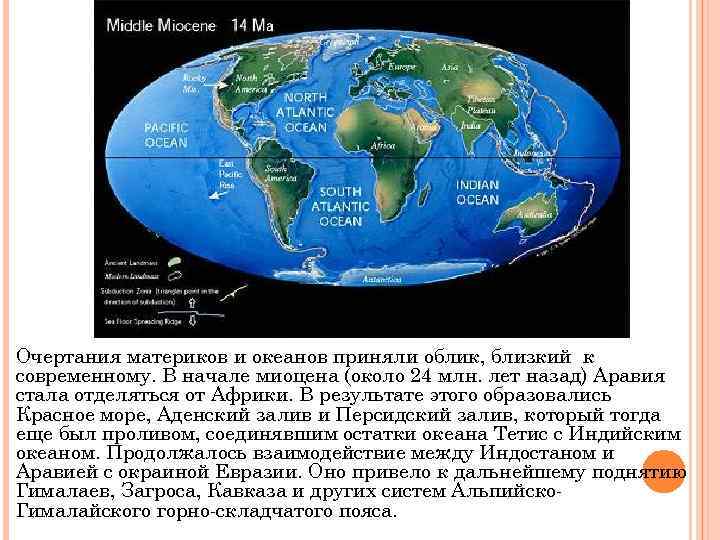 Очертания материков и океанов приняли облик, близкий к современному. В начале миоцена (около 24