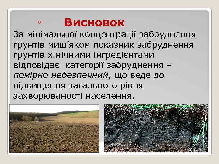 ◦ Висновок За мінімальної концентрації забруднення ґрунтів миш’яком показник забруднення ґрунтів хімічними інгредієнтами відповідає
