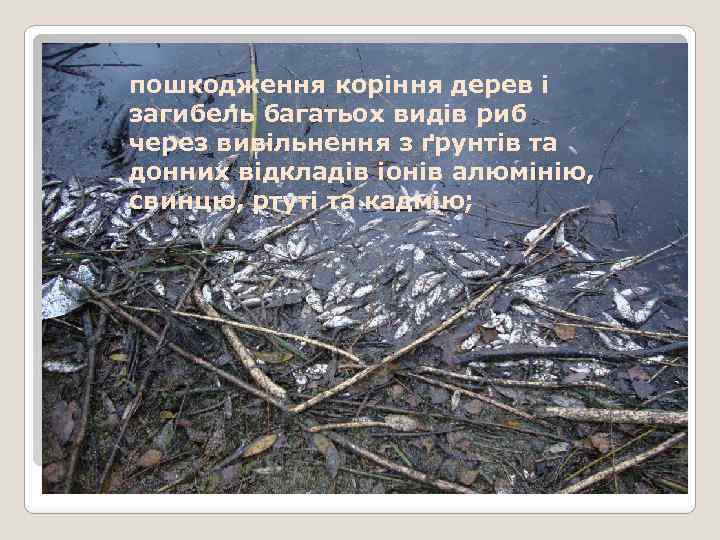 пошкодження коріння дерев і загибель багатьох видів риб через вивільнення з ґрунтів та донних