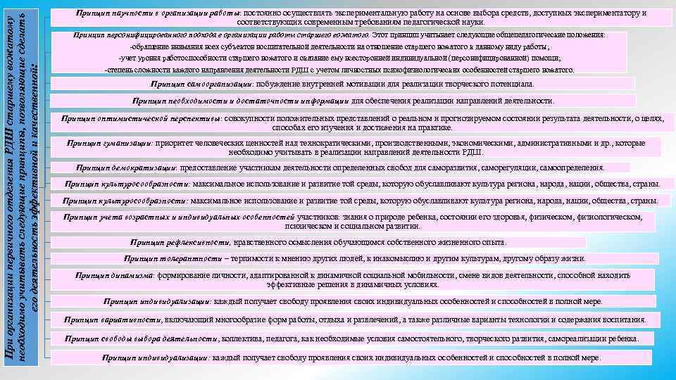 При организации первичного отделения РДШ старшему вожатому необходимо учитывать следующие принципы, позволяющие сделать его