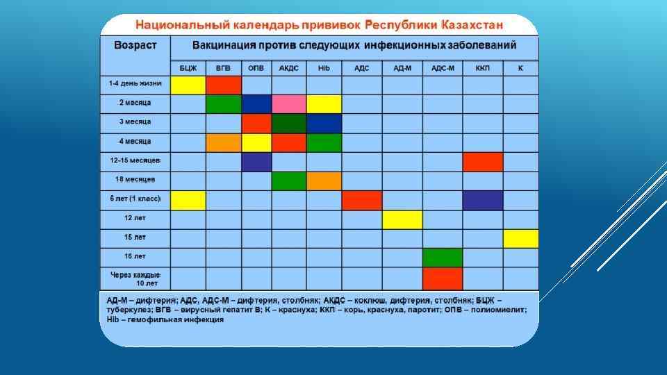 Карта прививок в беларуси для детей